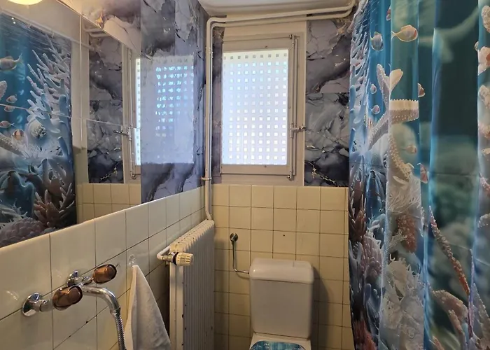 Villa De Maitre In Bern